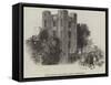 Kenilworth, the Mock Bridal Procession-J. Jackson-Framed Stretched Canvas