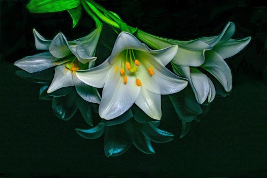Premium Photographic Print, , large