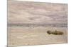 Kennack Sands, Cornwall, at Low Tide, 1877 (Oil on Board, Mounted as a Drawing)-John Brett-Mounted Giclee Print