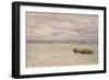 Kennack Sands, Cornwall, at Low Tide, 1877 (Oil on Board, Mounted as a Drawing)-John Brett-Framed Giclee Print