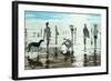 Kenneggy, Cornwall, 1988-Lucy Willis-Framed Giclee Print