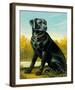 Kennel Club I-Dupre-Framed Giclee Print