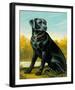 Kennel Club I-Dupre-Framed Giclee Print