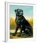 Kennel Club I-Dupre-Framed Giclee Print