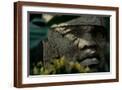 Brown Frame