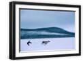 Black Frame