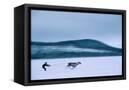 Canvas Black