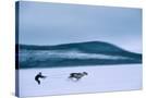 Stretched Canvas