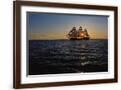 Brown Frame