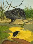 Water Shrew and Hedgehog, 1974-Kenneth Lilly-Framed Giclee Print