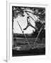 Kenneth Merriman Swinging on Tree Limb After Kicking Away Stilts-Robert W^ Kelley-Framed Photographic Print