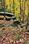 Autumn Boulders-KennethKeifer-Photographic Print