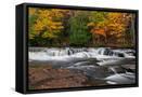Framed Canvas