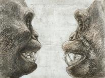 Australopithecus And Chimpanzee Teeth-Kennis and Kennis-Laminated Photographic Print