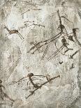 Prehistoric Cave Painting-Kennis and Kennis-Stretched Canvas