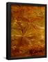 Essential Black