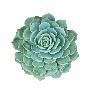 Laminate