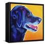 Kenobi Profile-Dawgart-Framed Stretched Canvas