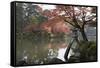 Kenrokuen Garden with Kotojitoro Lantern in Autumn-Stuart Black-Framed Stretched Canvas