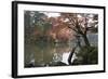 Kenrokuen Garden with Kotojitoro Lantern in Autumn-Stuart Black-Framed Photographic Print