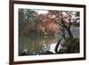 Kenrokuen Garden with Kotojitoro Lantern in Autumn-Stuart Black-Framed Photographic Print