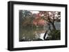 Kenrokuen Garden with Kotojitoro Lantern in Autumn-Stuart Black-Framed Photographic Print