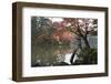 Kenrokuen Garden with Kotojitoro Lantern in Autumn-Stuart Black-Framed Premium Photographic Print