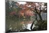 Kenrokuen Garden with Kotojitoro Lantern in Autumn-Stuart Black-Mounted Premium Photographic Print