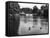 Kensington Gardens Lake-Fred Musto-Framed Stretched Canvas