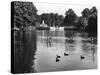 Kensington Gardens Lake-Fred Musto-Stretched Canvas