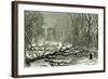 Kensington Gardens London 1887 Trees Blown in Broad Walk-null-Framed Giclee Print