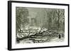 Kensington Gardens London 1887 Trees Blown in Broad Walk-null-Framed Giclee Print