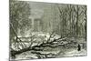 Kensington Gardens London 1887 Trees Blown in Broad Walk-null-Mounted Giclee Print