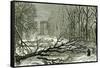 Kensington Gardens London 1887 Trees Blown in Broad Walk-null-Framed Stretched Canvas