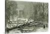 Kensington Gardens London 1887 Trees Blown in Broad Walk-null-Stretched Canvas