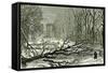 Kensington Gardens London 1887 Trees Blown in Broad Walk-null-Framed Stretched Canvas