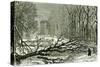 Kensington Gardens London 1887 Trees Blown in Broad Walk-null-Stretched Canvas