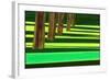 Kensington Gardens Series: Dazzle, 2007-Izabella Godlewska de Aranda-Framed Giclee Print