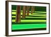 Kensington Gardens Series: Dazzle, 2007-Izabella Godlewska de Aranda-Framed Giclee Print