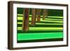 Kensington Gardens Series: Dazzle, 2007-Izabella Godlewska de Aranda-Framed Giclee Print