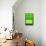 Kensington Gardens Series: Green on Green-Izabella Godlewska de Aranda-Stretched Canvas displayed on a wall
