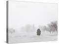 Stretched Canvas