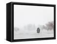 Canvas Black