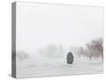 Stretched Canvas