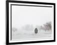 Gramercy Black