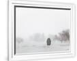 Gramercy White