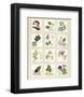 Kent Garden Fragments-Annabel Hewitt-Framed Art Print