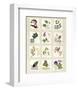 Kent Garden Fragments-Annabel Hewitt-Framed Art Print