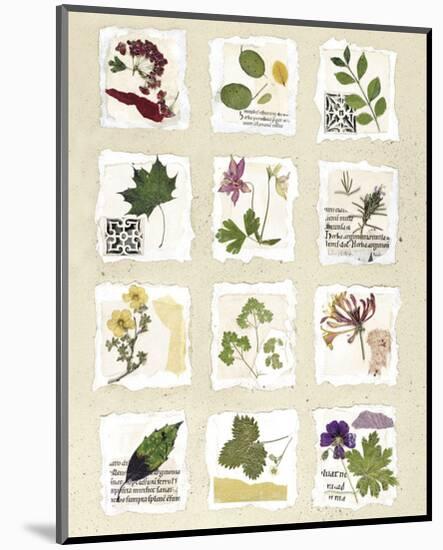 Kent Garden Fragments-Annabel Hewitt-Mounted Art Print