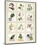 Kent Garden Fragments-Annabel Hewitt-Mounted Art Print